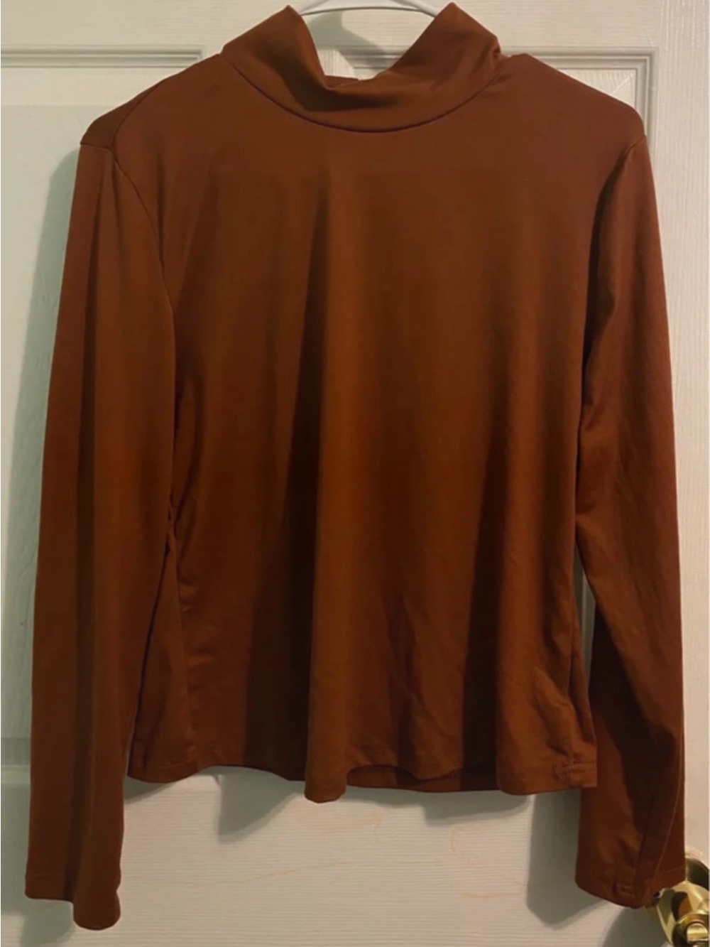 Women’s Long-Sleeve Mock Neck Shirt in Rust